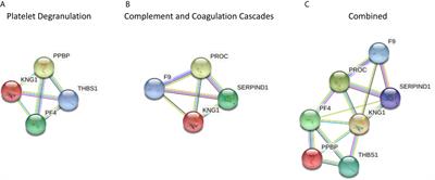 Type 2 Diabetes Coagulopathy Proteins May Conflict With Biomarkers Reflective of COVID-19 Severity